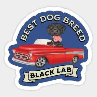 Black Lab Best Dog Breed Sticker